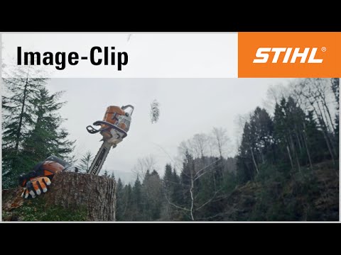 STIHL Team Stories 2016 – Holzernte mit Helikopter und Motorsäge