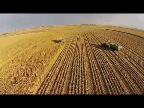 Bristle Farm Corn Harvest. Amazing drone footage. Watch the whole process!